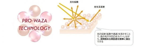 PRO-WAZA TECHNOLOGY 技術説明図