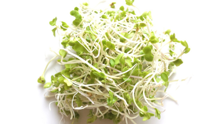 スーパーで買えるスーパーフード ブロッコリースプラウトの効果と食べ方 Jobikai 女美会 スーパーで買えるスーパーフード ブロッコリースプラウトの効果と食べ方 Jobikai 女美会